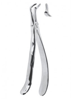 Extracting Forceps